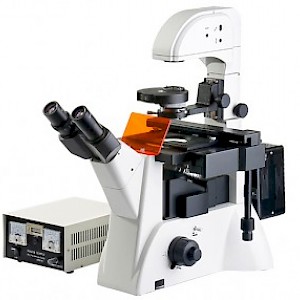 BD-YGD-2 倒置荧光显微镜