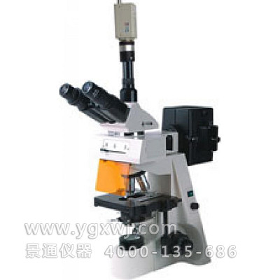 BM-19AYC 荧光显微镜