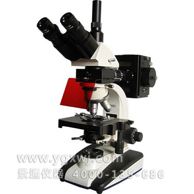 BM-20AY 三目荧光显微镜