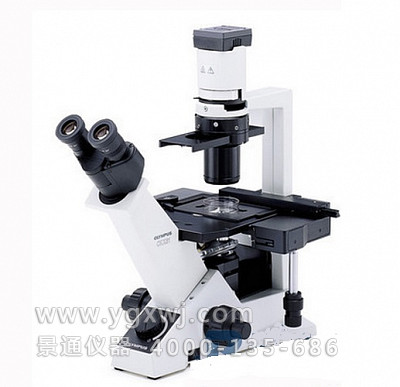 CKX41-32FL三目荧光显微镜