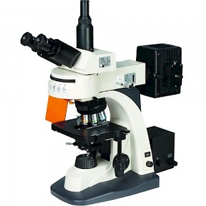 BM-21AY三目荧光显微镜
