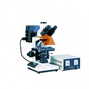 XSP-C17紫外落射荧光显微镜
