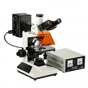 
GFM-300电脑型荧光显微镜