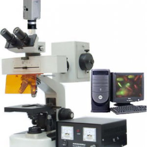 PQF-20系列生物荧光显微镜