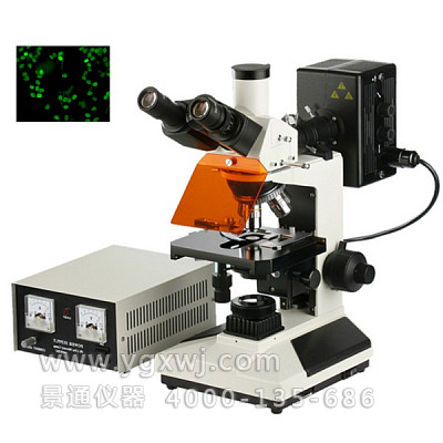 
DYF-300细胞学荧光显微镜