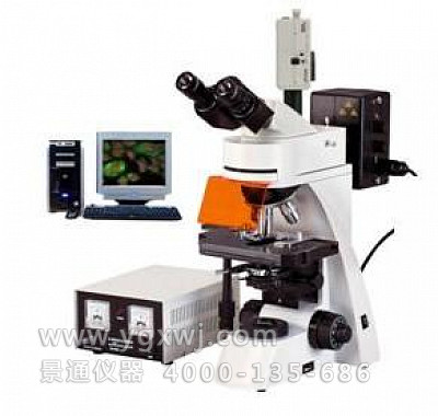 
TXM-400四组荧光激发组荧光显微镜