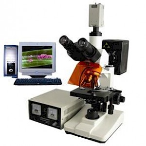 TXM-200三目正置荧光显微镜