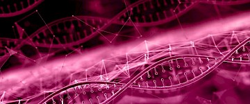 科学家发现母亲将某些遗传疾病带给孩子的原因