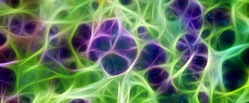 达尔文的奥秘之谜和微生物组