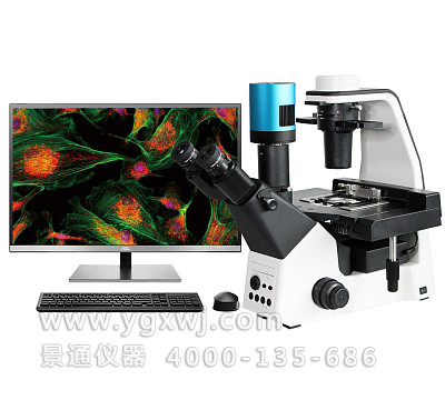 VMF500I科研级三目倒置数码荧光显微镜活体细胞观察